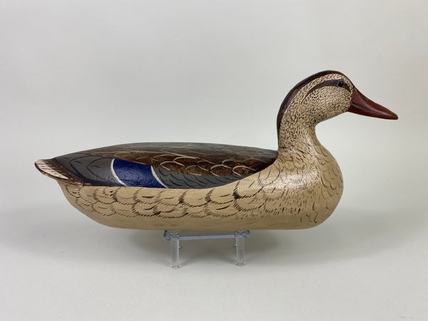 Henry Holmes Mallard Hen restored by Charles Moore (#9135)