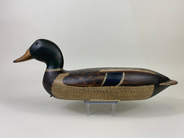 Robert Elliston Mallard Drake, Restored by T.J. Hooker (#9142)