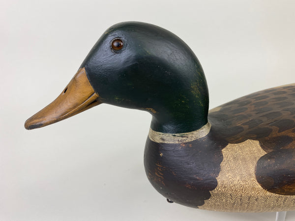 Robert Elliston Mallard Drake, Restored by T.J. Hooker (#9142)