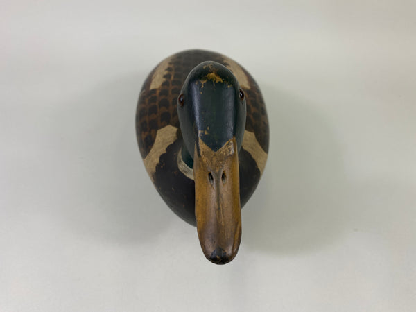 Robert Elliston Mallard Drake, Restored by T.J. Hooker (#9142)