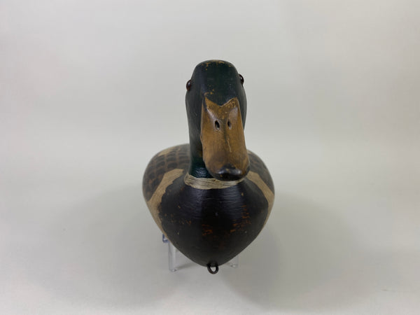 Robert Elliston Mallard Drake, Restored by T.J. Hooker (#9142)