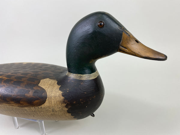 Robert Elliston Mallard Drake, Restored by T.J. Hooker (#9142)