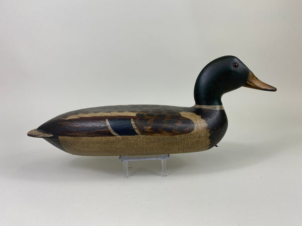 Robert Elliston Mallard Drake, Restored by T.J. Hooker (#9142)