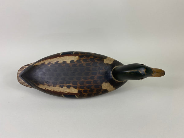 Robert Elliston Mallard Drake, Restored by T.J. Hooker (#9142)