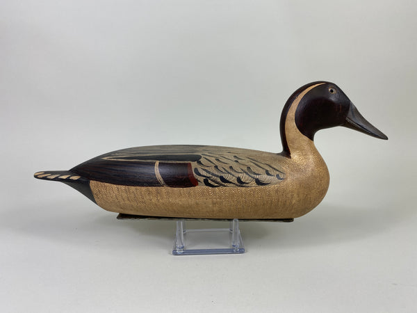 Robert Elliston Pintail Drake restored by T.J. Hooker (#9143)