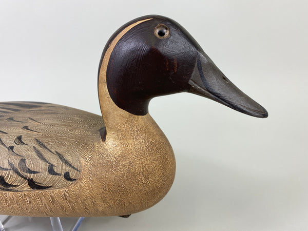 Robert Elliston Pintail Drake restored by T.J. Hooker (#9143)