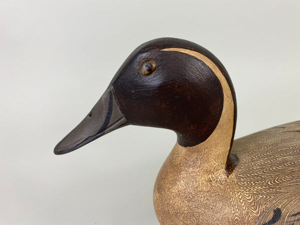 Robert Elliston Pintail Drake restored by T.J. Hooker (#9143)