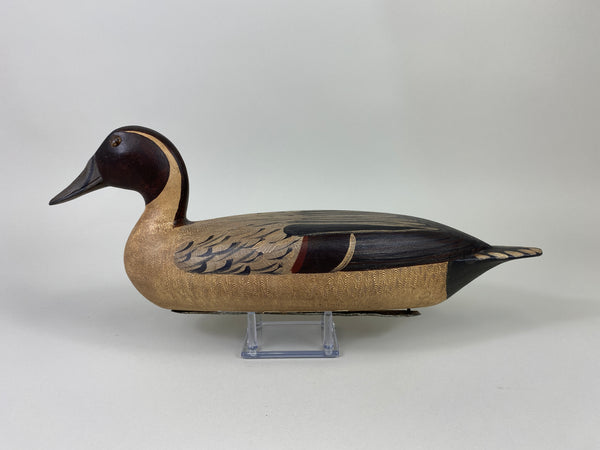 Robert Elliston Pintail Drake restored by T.J. Hooker (#9143)