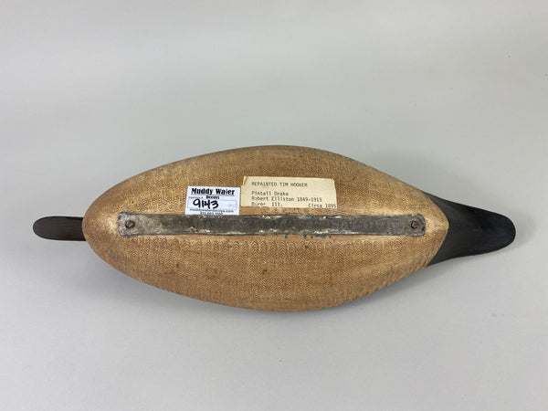 Robert Elliston Pintail Drake restored by T.J. Hooker (#9143)