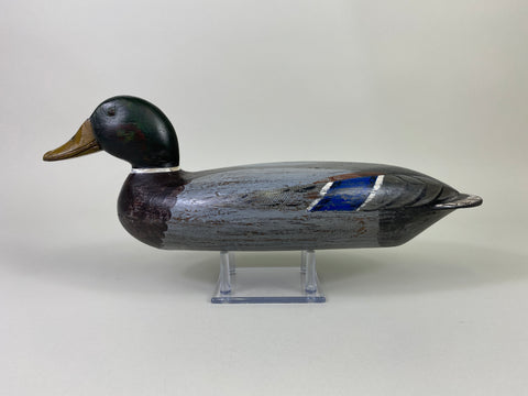 Robert Elliston Mallard Drake, Restored by Charlie Moore (#9144)