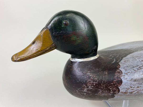 Robert Elliston Mallard Drake, Restored by Charlie Moore (#9144)