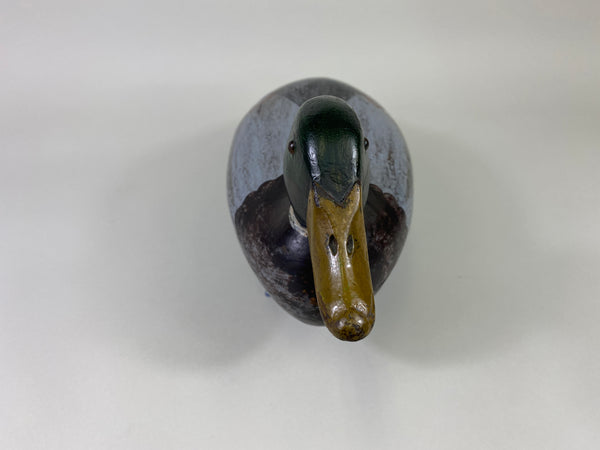 Robert Elliston Mallard Drake, Restored by Charlie Moore (#9144)