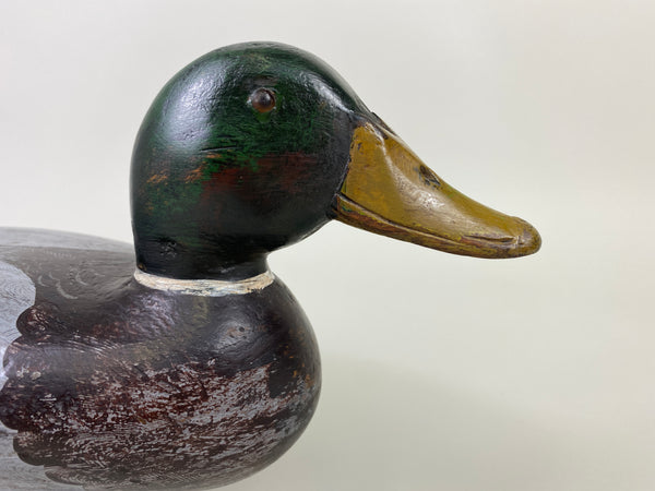 Robert Elliston Mallard Drake, Restored by Charlie Moore (#9144)