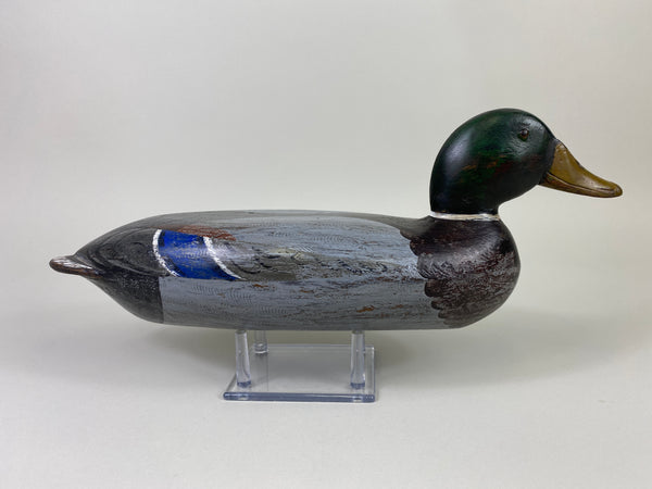 Robert Elliston Mallard Drake, Restored by Charlie Moore (#9144)