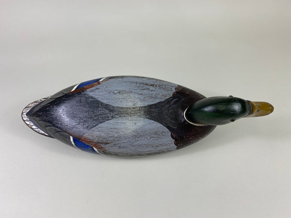 Robert Elliston Mallard Drake, Restored by Charlie Moore (#9144)