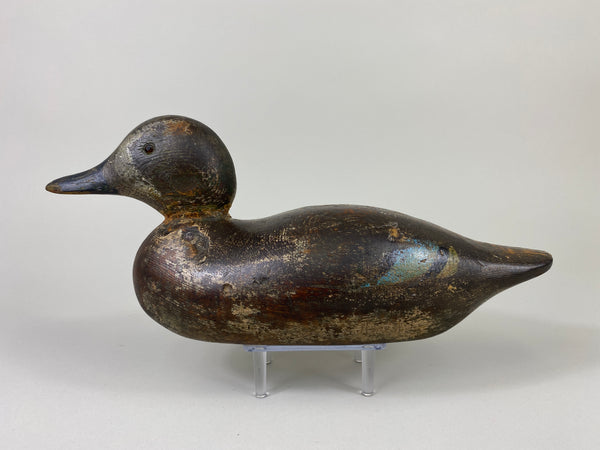 Mason Blue Wing Teal Drake (#9145)