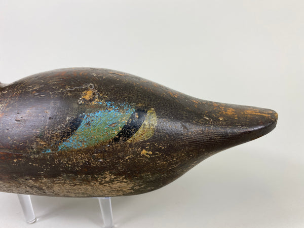 Mason Blue Wing Teal Drake (#9145)