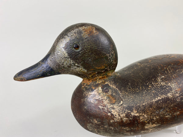 Mason Blue Wing Teal Drake (#9145)