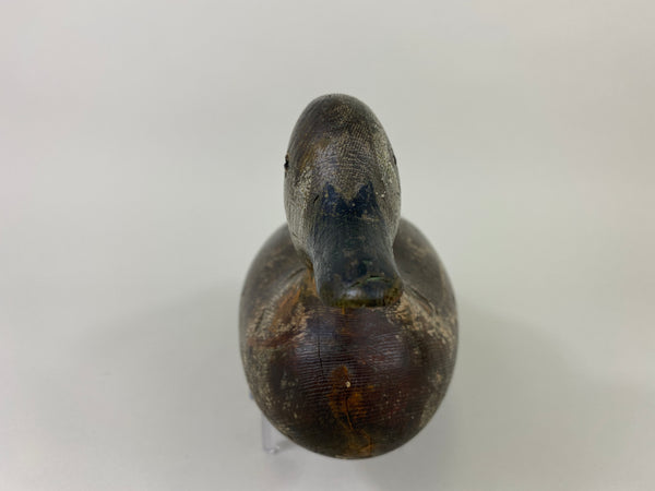 Mason Blue Wing Teal Drake (#9145)