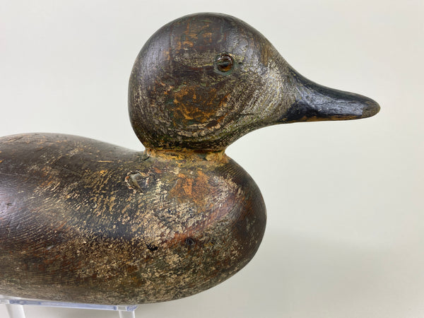 Mason Blue Wing Teal Drake (#9145)