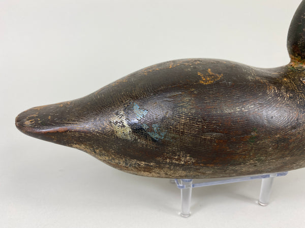 Mason Blue Wing Teal Drake (#9145)