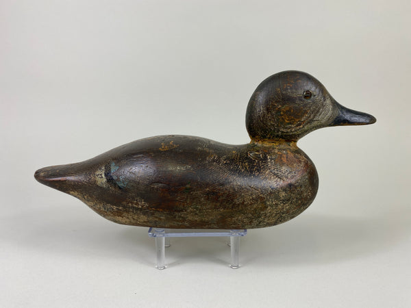 Mason Blue Wing Teal Drake (#9145)