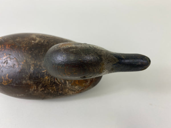 Mason Blue Wing Teal Drake (#9145)