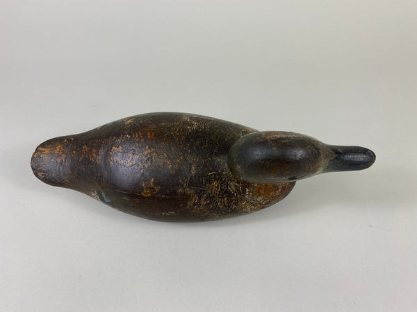 Mason Blue Wing Teal Drake (#9145)