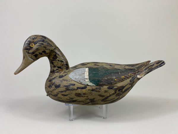 Xavier Bourg Blue-Wing Teal Hen (#9146)