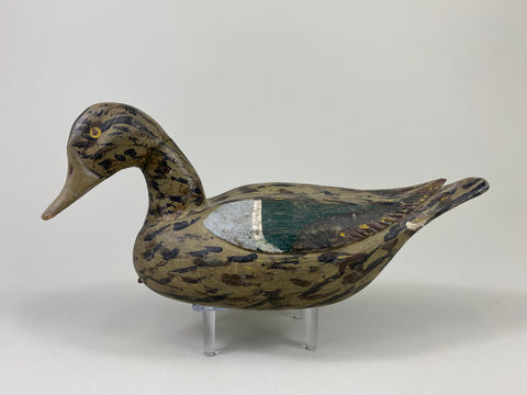Xavier Bourg Blue-Wing Teal Hen (#9146)