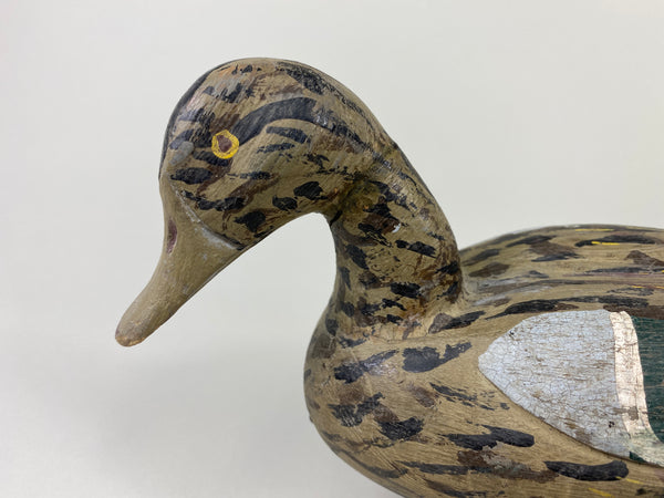 Xavier Bourg Blue-Wing Teal Hen (#9146)
