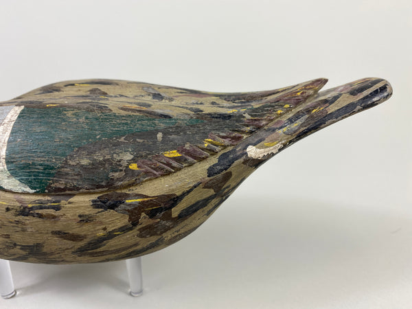 Xavier Bourg Blue-Wing Teal Hen (#9146)