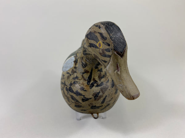 Xavier Bourg Blue-Wing Teal Hen (#9146)