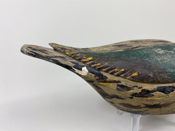 Xavier Bourg Blue-Wing Teal Hen (#9146)