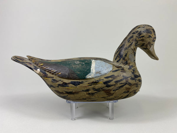 Xavier Bourg Blue-Wing Teal Hen (#9146)