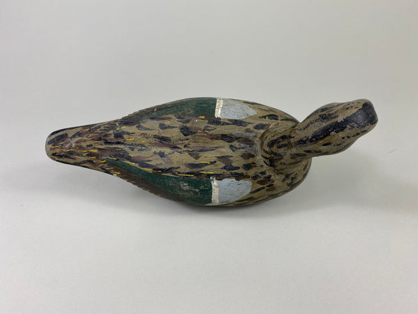 Xavier Bourg Blue-Wing Teal Hen (#9146)
