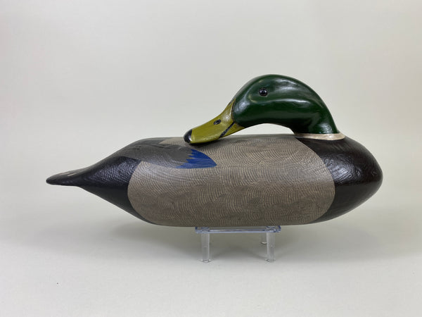 Illinois River Sleeper Mallard Drake, Restored by Dave Frier