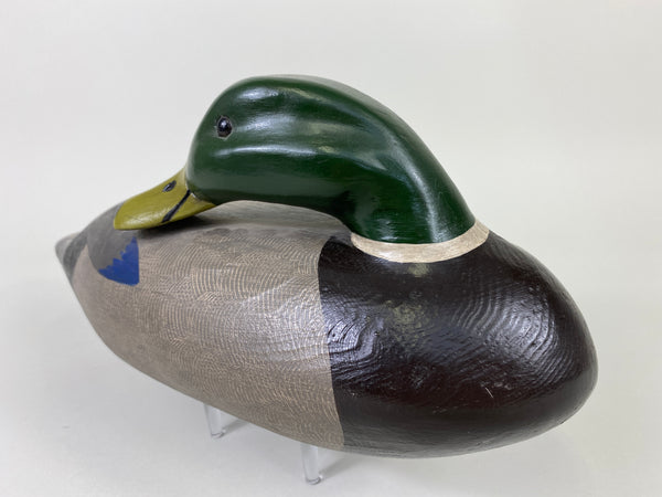 Illinois River Sleeper Mallard Drake, Restored by Dave Frier