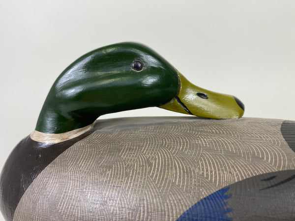 Illinois River Sleeper Mallard Drake, Restored by Dave Frier