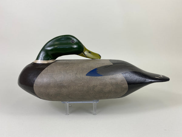 Illinois River Sleeper Mallard Drake, Restored by Dave Frier