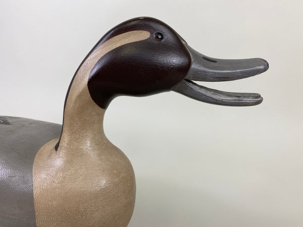 Virgil Hodge Calling Pintail, paint by Dave Frier (#9148)