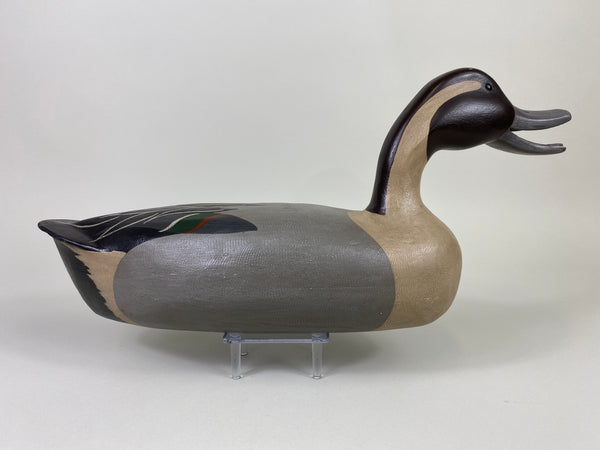 Virgil Hodge Calling Pintail, paint by Dave Frier (#9148)