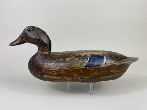 Henry Holmes Mallard Hen (#9155)