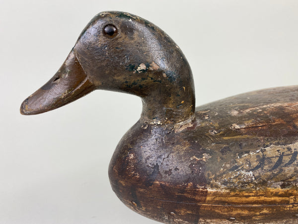 Henry Holmes Mallard Hen (#9155)