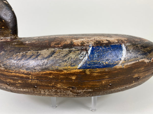 Henry Holmes Mallard Hen (#9155)