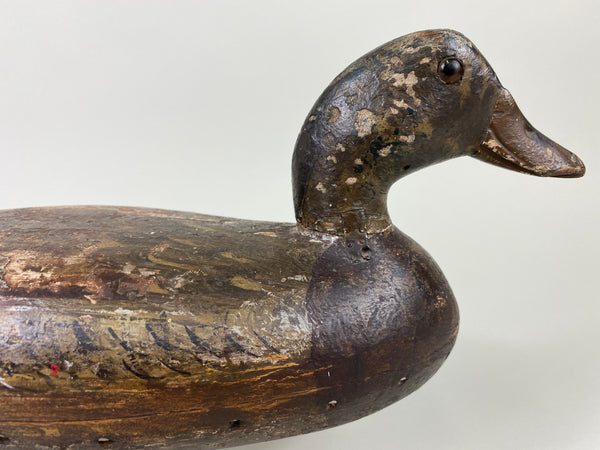Henry Holmes Mallard Hen (#9155)