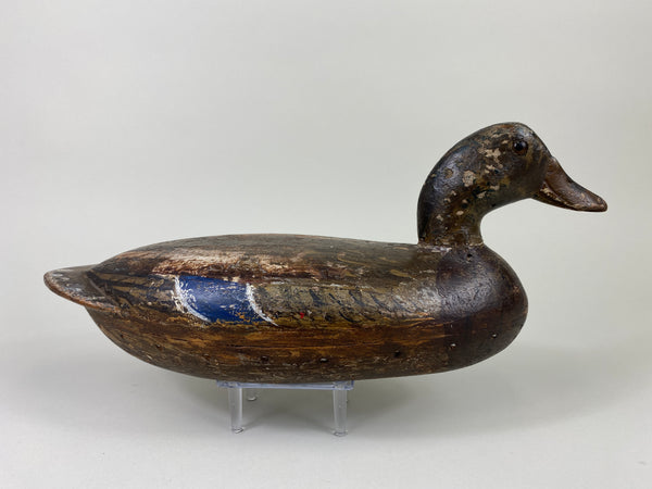 Henry Holmes Mallard Hen (#9155)