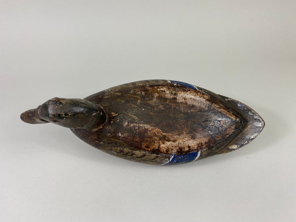 Henry Holmes Mallard Hen (#9155)