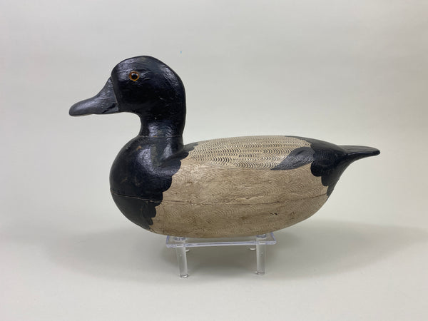 Fred Mott Bluebill, painted by Charles Moore (#9161)