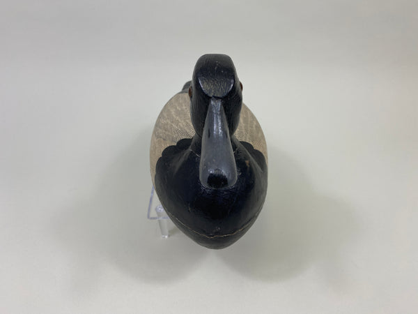 Fred Mott Bluebill, painted by Charles Moore (#9161)